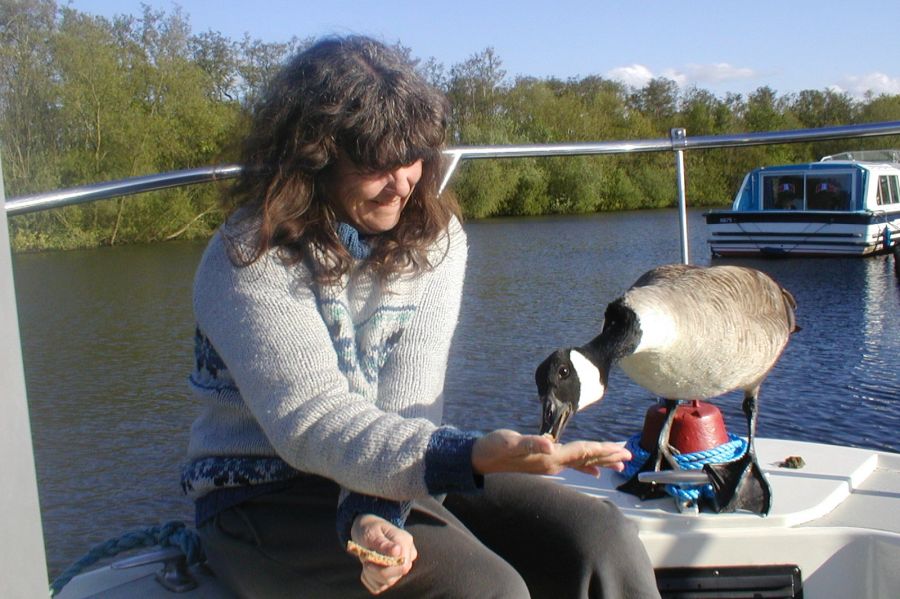 Norfolkbroads