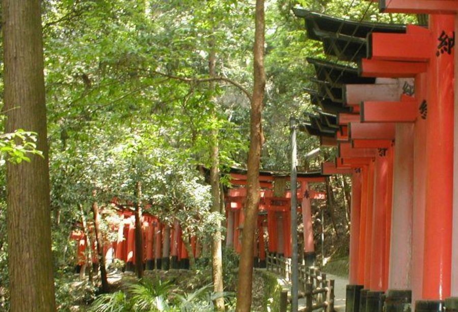 Fushimi Inari