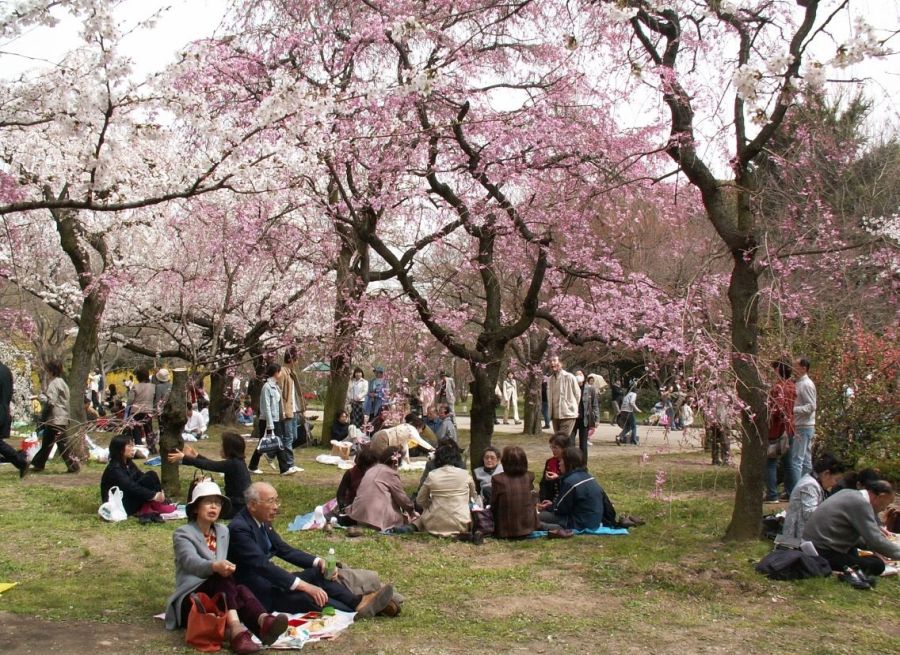 hanami